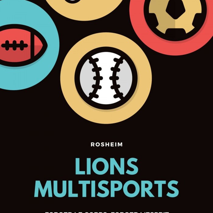 Lions multisports