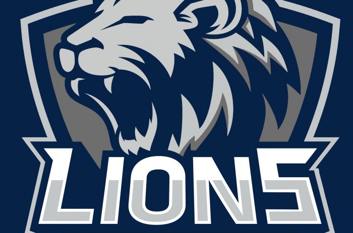 Logo Lions Multisports Rosheim et Environs 2020