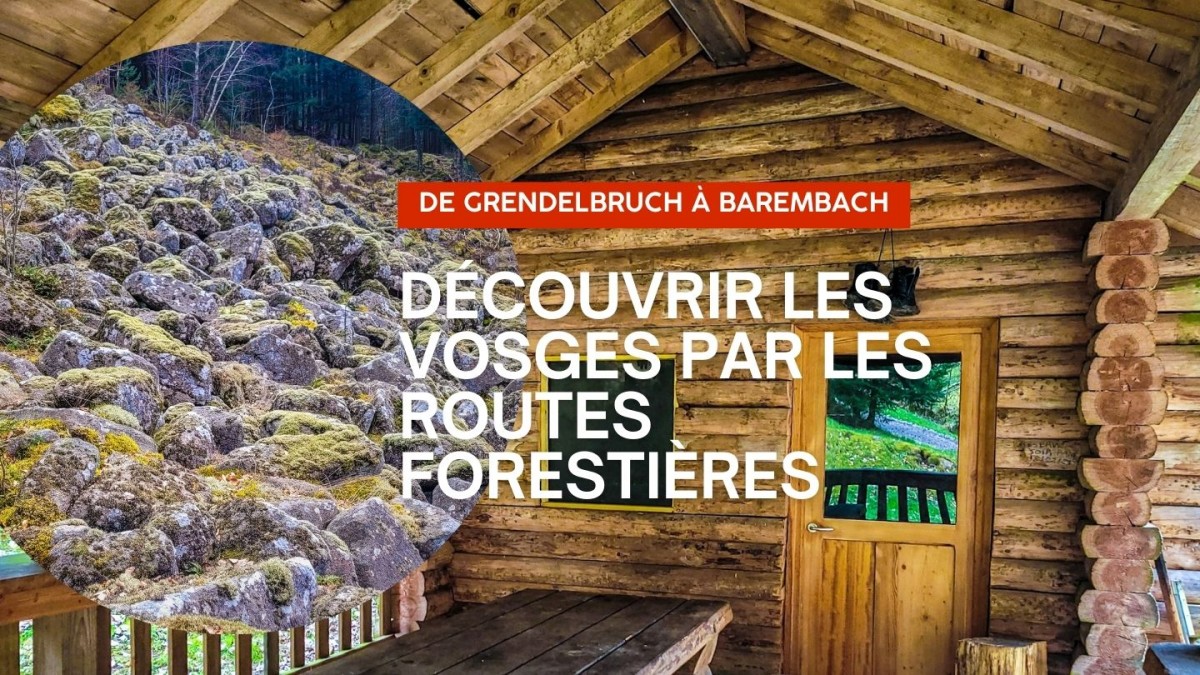 Découvrir les Vosges par les Routes forestières de Grendelbruch à Barembach