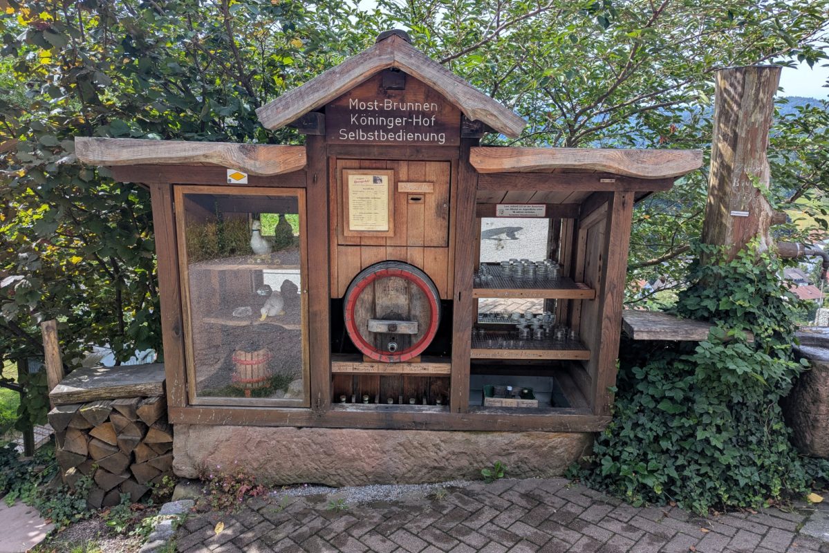 2025 07 18 Circuit Moulins Ottenhofen Piscine Naturelle Allerheiligen 08