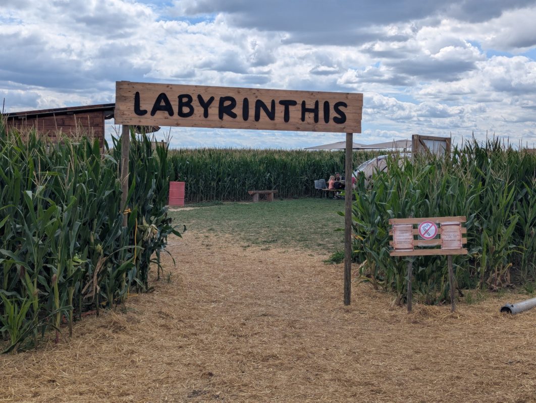 2025 07 23 LabyrintheMaïs Labyrinthis Soultz 18
