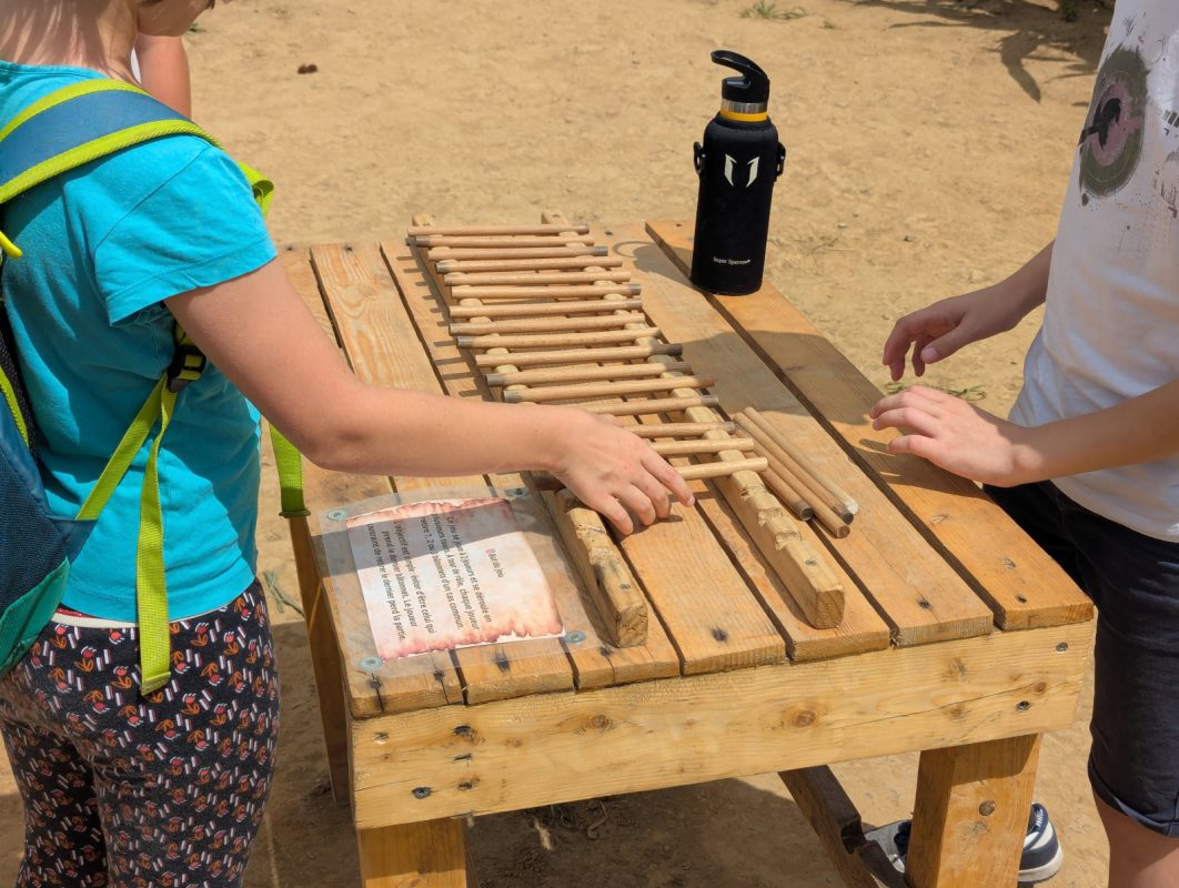 2025 07 23 LabyrintheMaïs Labyrinthis Soultz 26