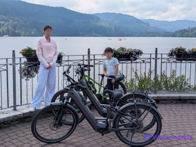 Titisee Neustadt Tour du lac vélo électrique